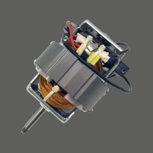 120V Juicer موٹر
