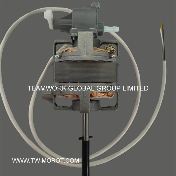 CNC Vertical Fan Motor