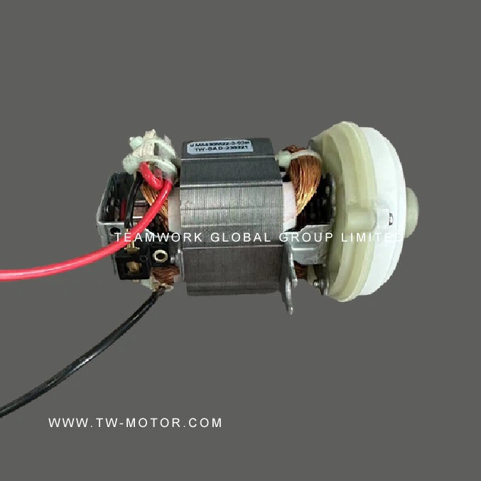 Electric Grinder Motor
