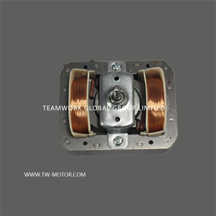 Mic-oven Motor