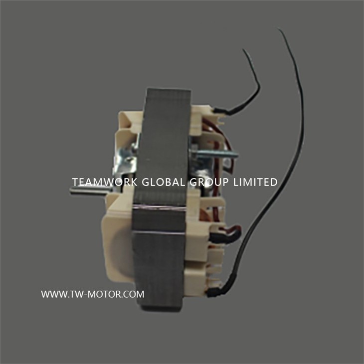Mic-oven Motor