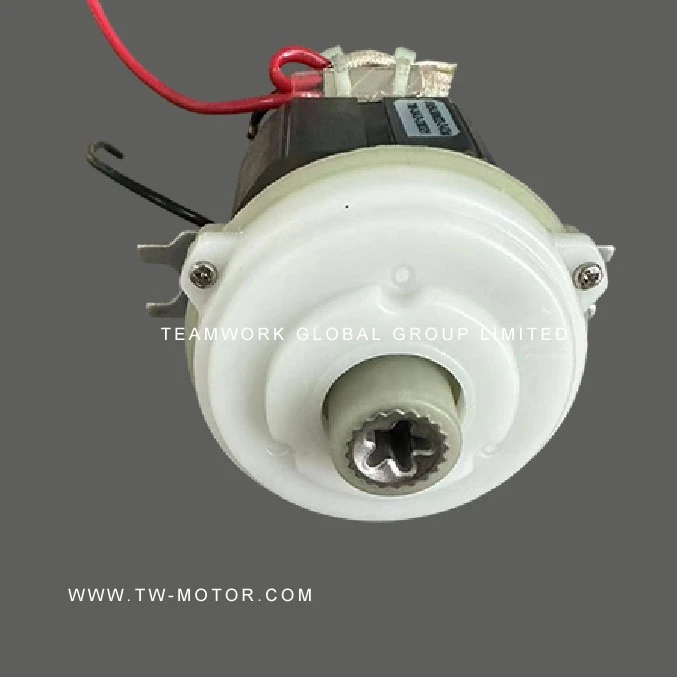 Professional Juicer Motor